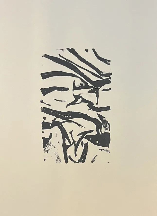 prints produced with objects from my surroundings, image 3